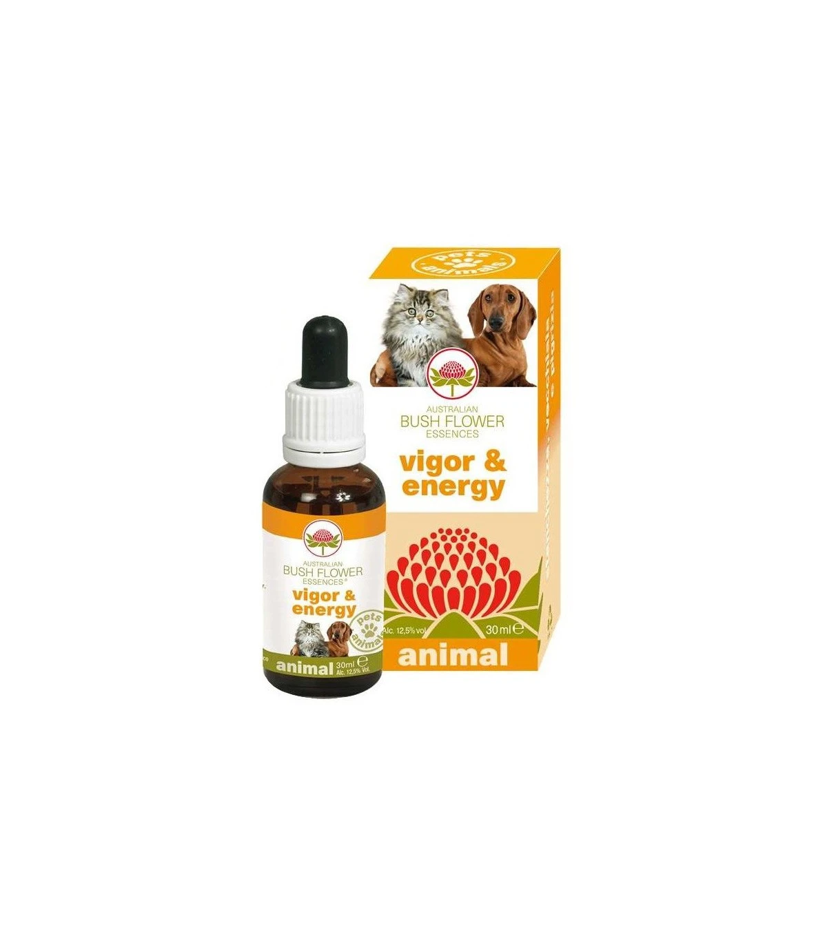 Bush Flower Vigor & Energy 30 Ml 1 Bush Flower Vigor & Energy 30 Ml