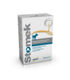 Drn Stomek 32 Compresse