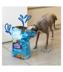 Edgard & Cooper Adult Carne Fresca Di Salmone Norvegese Senza Cereali 12 Kg -Royal Canin Vendite Store edgard cooper adult carne fresca di salmone norvegese senza cereali 12 kg 2