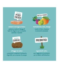 Edgard & Cooper Adult Carne Fresca Di Salmone Norvegese Senza Cereali 12 Kg -Royal Canin Vendite Store edgard cooper adult carne fresca di salmone norvegese senza cereali 12 kg 5