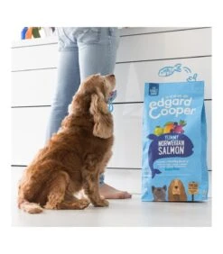 Edgard & Cooper Adult Carne Fresca Di Salmone Norvegese Senza Cereali 7 Kg -Royal Canin Vendite Store edgard cooper adult carne fresca di salmone norvegese senza cereali 7 kg 3