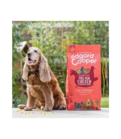 Edgard & Cooper Senior Carne Fresca Di Pollo Allevato A Terra E Salmone Norvegese Senza Cereali 12 Kg -Royal Canin Vendite Store edgard cooper senior carne fresca di pollo allevato a terra e salmone norvegese senza cereali 12 kg 2