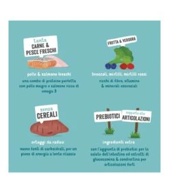 Edgard & Cooper Senior Carne Fresca Di Pollo Allevato A Terra E Salmone Norvegese Senza Cereali 12 Kg -Royal Canin Vendite Store edgard cooper senior carne fresca di pollo allevato a terra e salmone norvegese senza cereali 12 kg 4