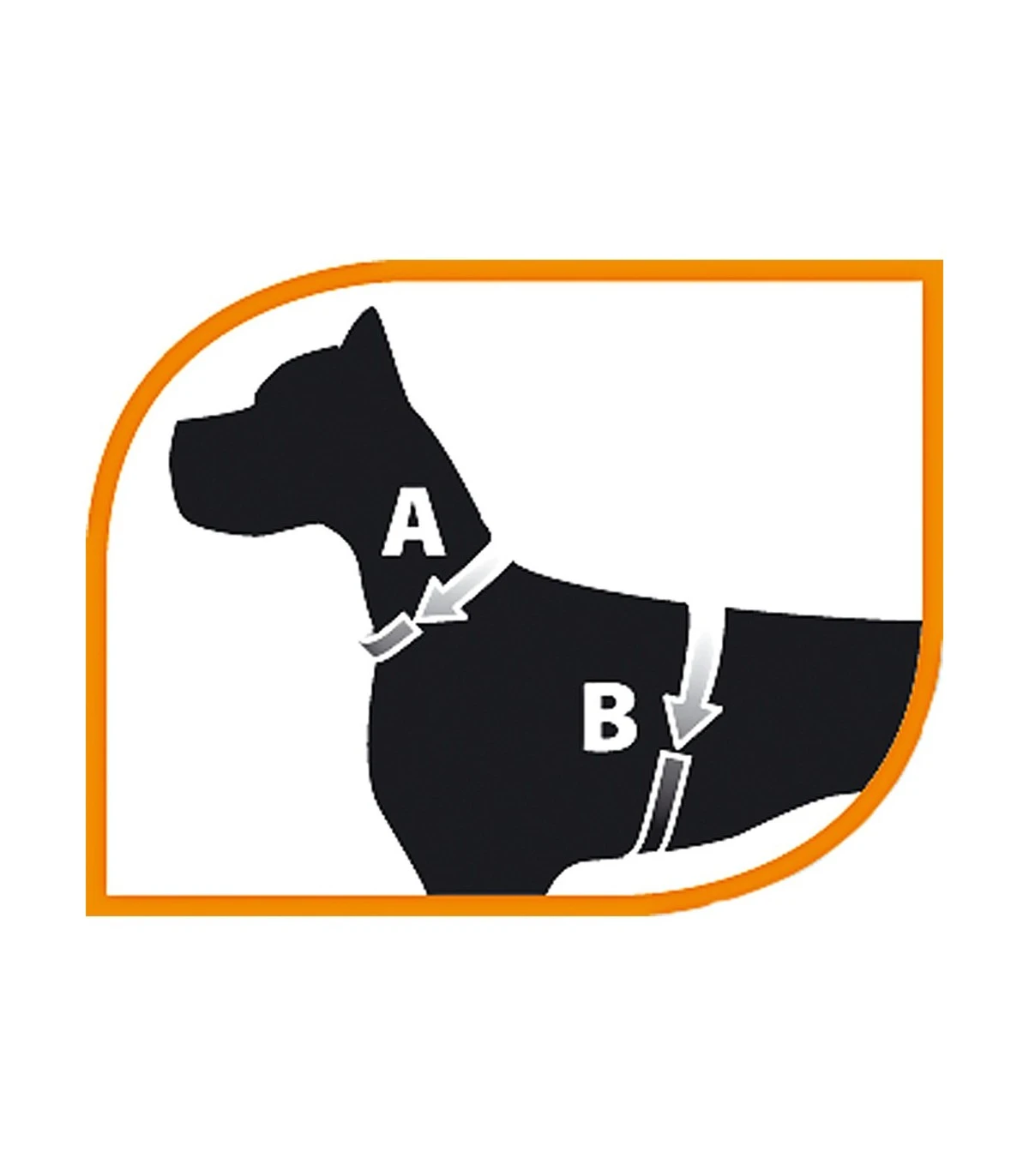 Ferplast Champion P Extra Large Rossa Pettorina 2 Ferplast Champion P Extra Large Rossa Pettorina - immagine 2