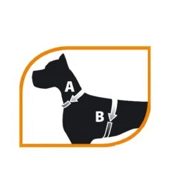 Ferplast Jogging Large Pettorina Con Guinzaglio 5 Ferplast Jogging Large Pettorina Con Guinzaglio -Royal Canin Vendite Store ferplast jogging large pettorina con guinzaglio 2