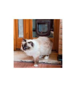 Ferplast Swing Microchip Marrone -Royal Canin Vendite Store ferplast swing microchip marrone 2