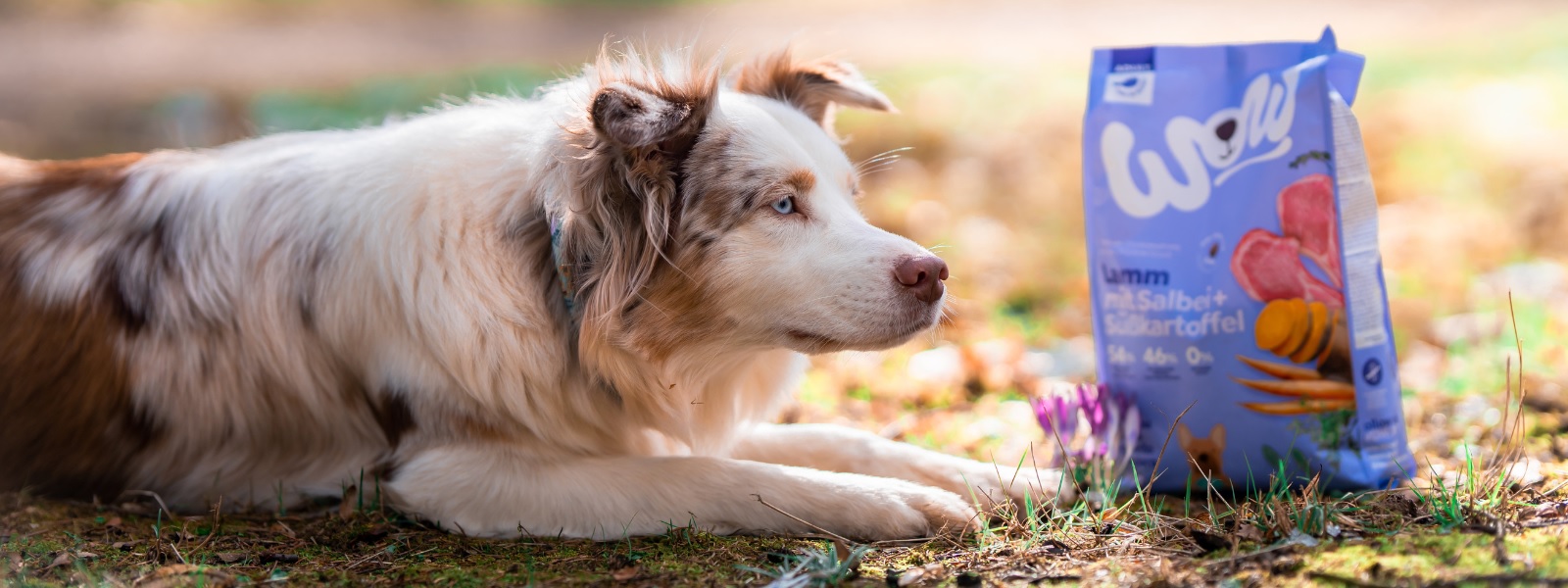 Royal Canin Vendite Store 2 Royal Canin Vendite Store -Royal Canin Vendite Store hrheerre